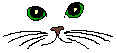 yeuxdechat